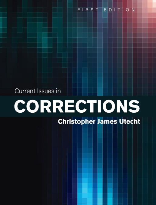 Current Issues in Corrections
