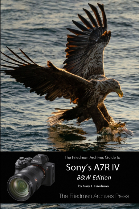 The Friedman Archives Guide to Sony’s A7R IV (B&W Edition)