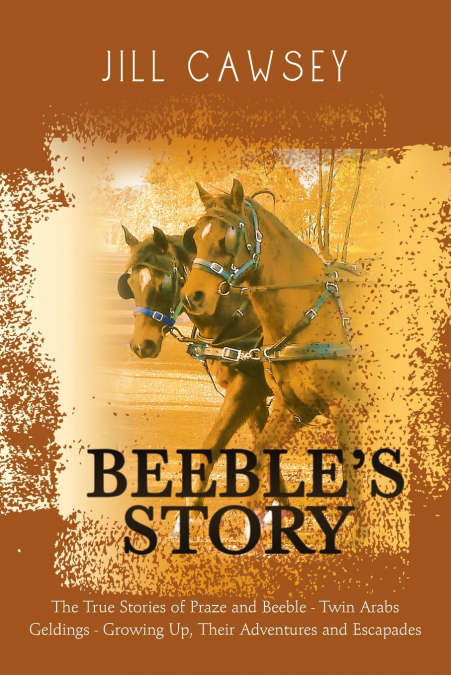 Beeble’s Story