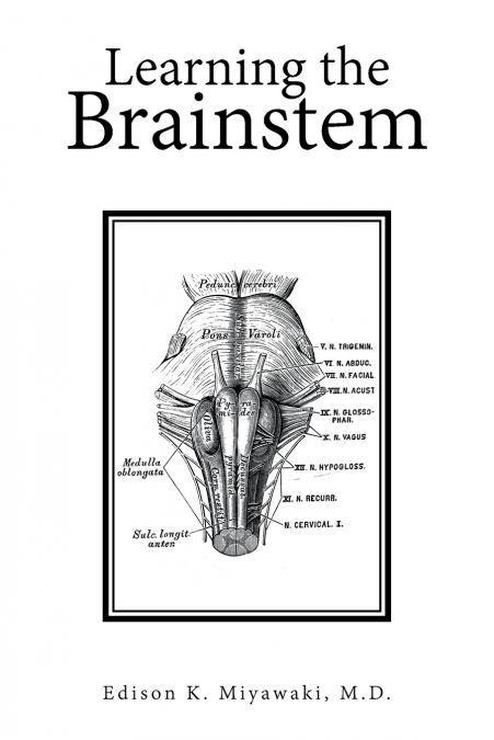 Learning the Brainstem