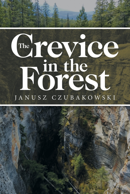 The Crevice in the Forest