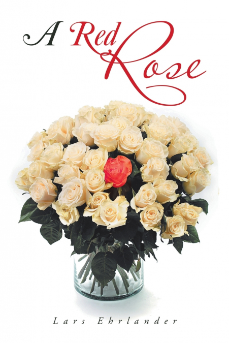 A Red  Rose