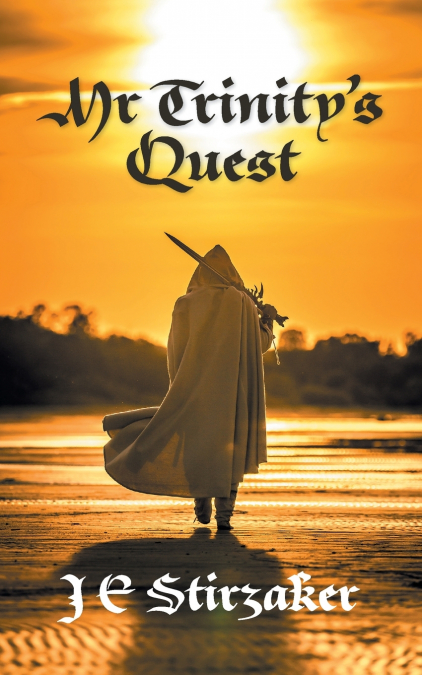 Mr Trinity’s Quest