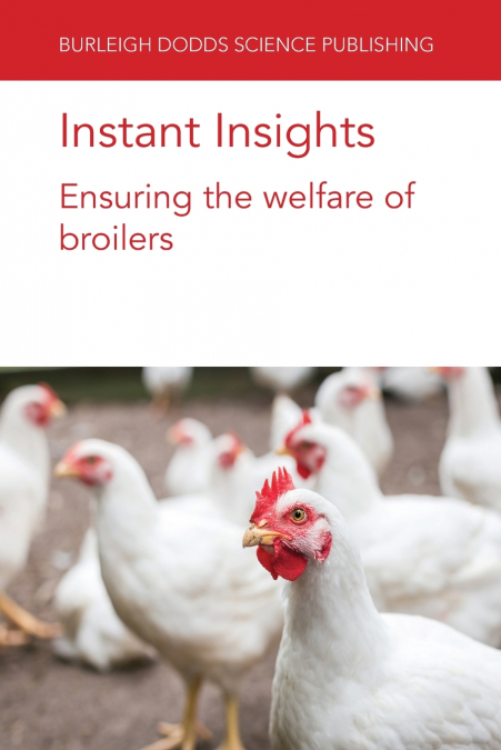 Instant Insights