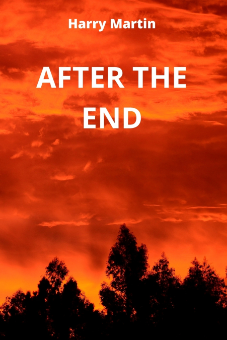 AFTER THE END