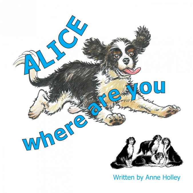 Alice, Where are You?