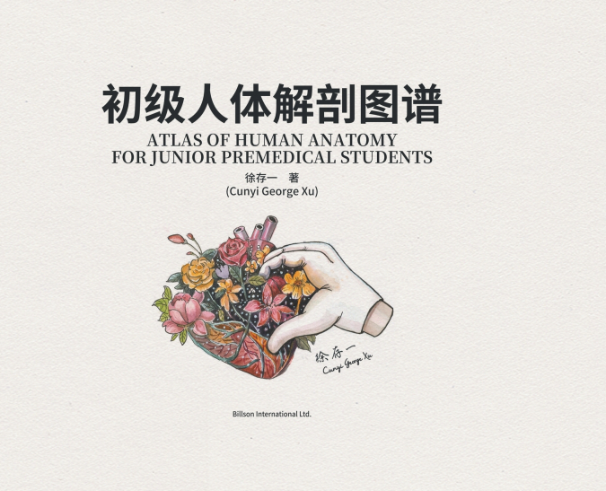初级人体解剖图谱