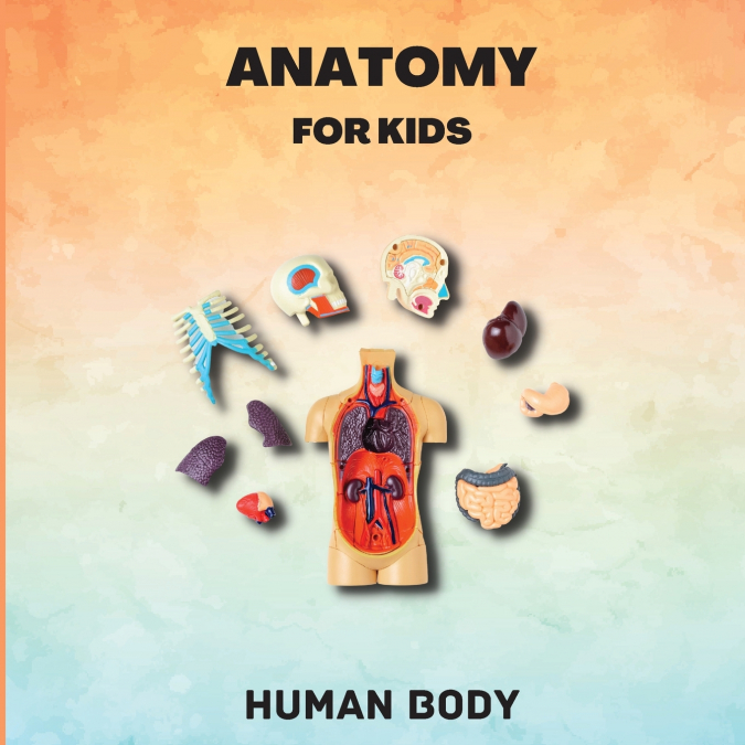 Anatomy for Kids (Human Body)
