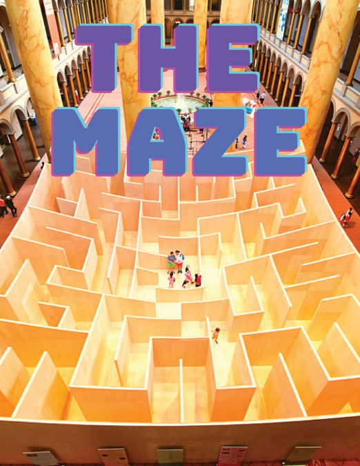 Maze Puzzles Book