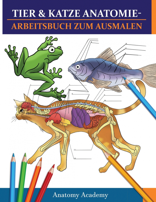 Tier & Katze Anatomie-Arbeitsbuch zum Ausmalen