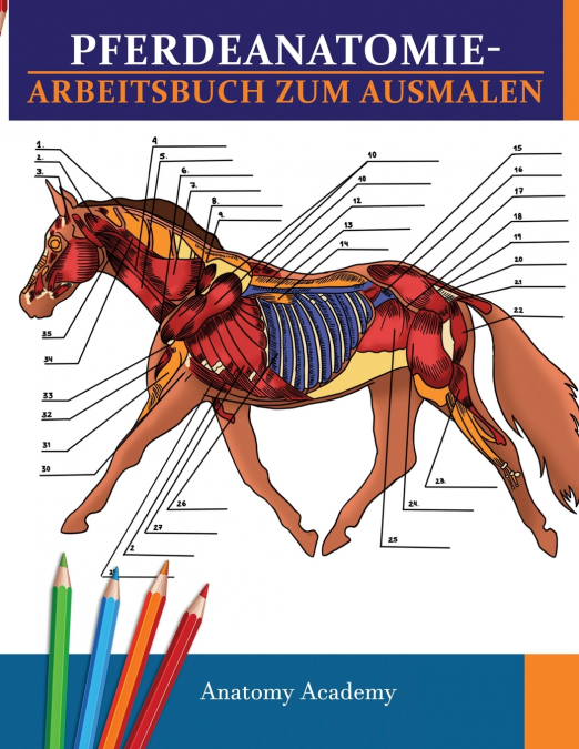 Pferdeanatomie-Arbeitsbuch zum Ausmalen
