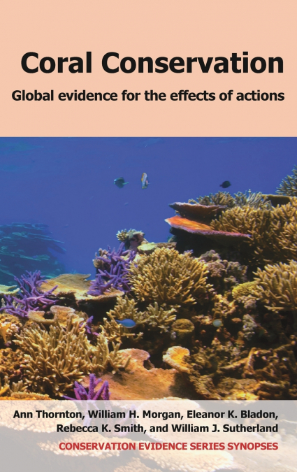Coral Conservation