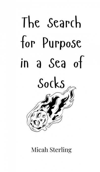 The Search for Purpose in a Sea of Socks