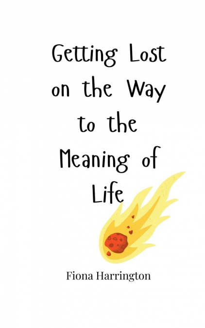 Getting Lost on the Way to the Meaning of Life