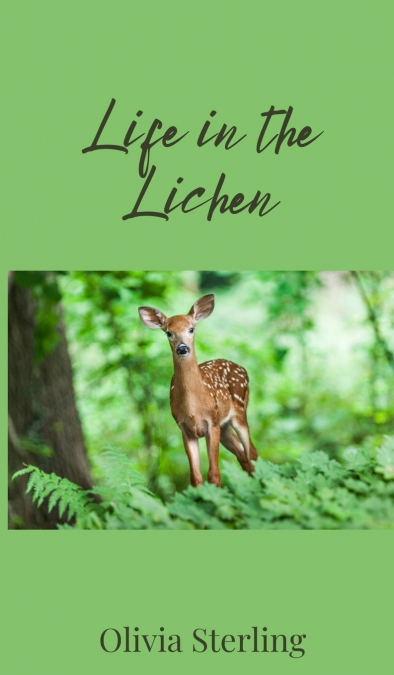 Life in the Lichen