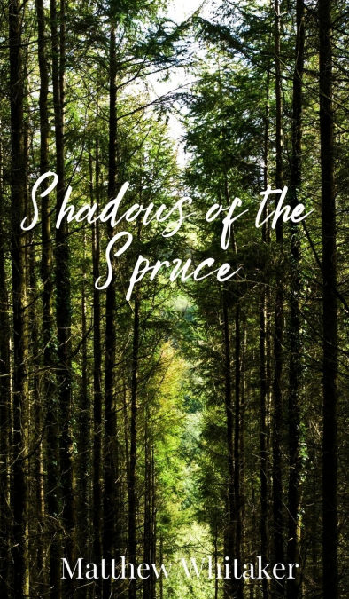 Shadows of the Spruce