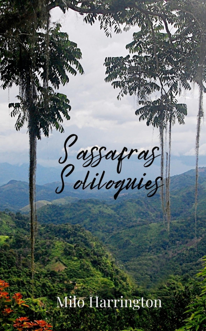 Sassafras Soliloquies
