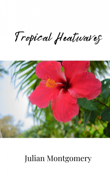 Tropical Heatwaves