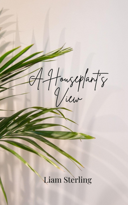 A Houseplant’s View