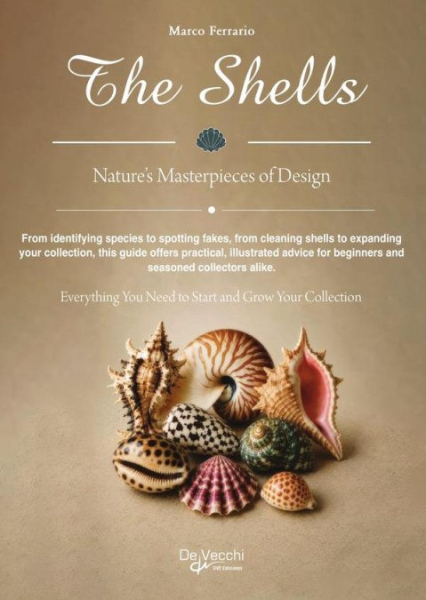 The Shells