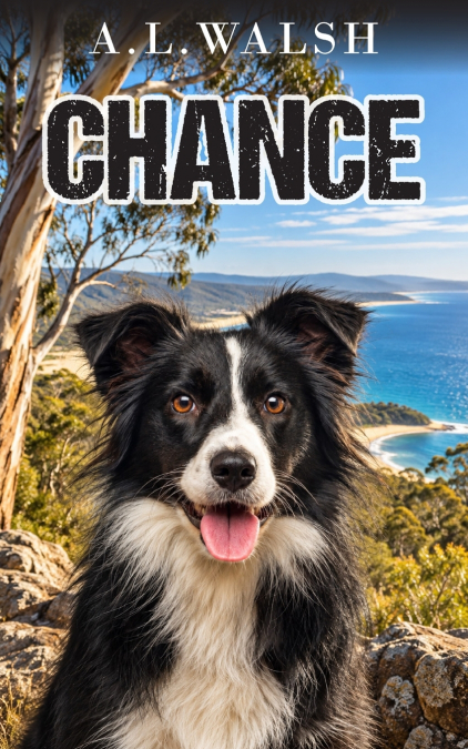 Chance
