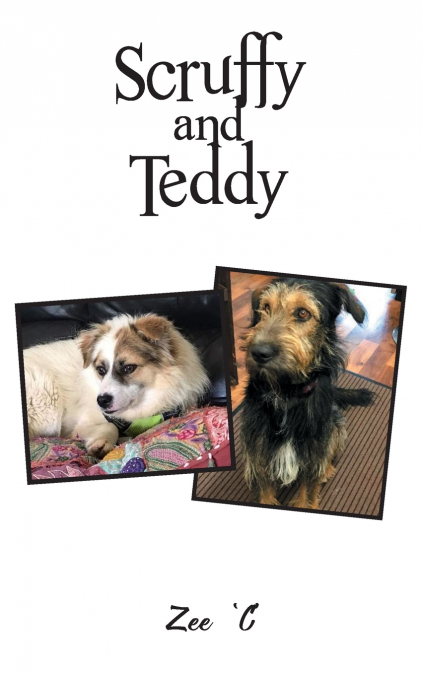 Scruffy and Teddy