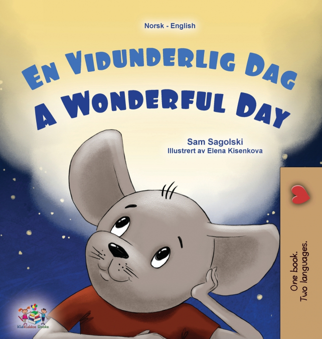 A Wonderful Day (Norwegian English Bilingual Children’s Book)
