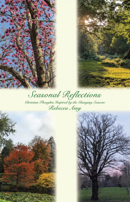 Seasonal Reflections
