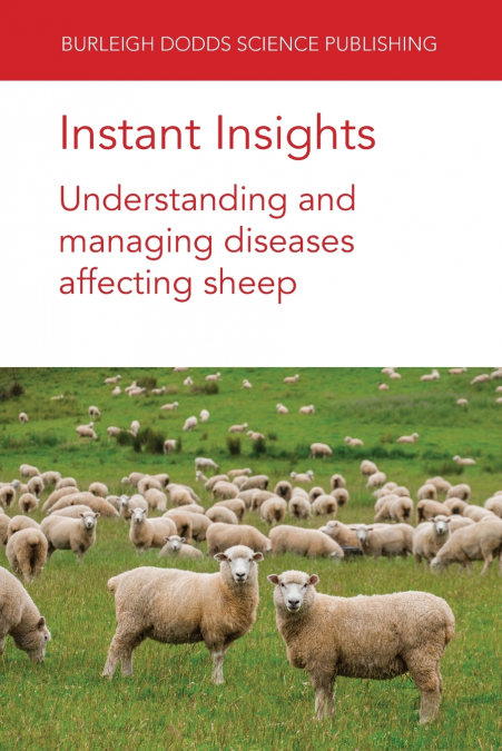 Instant Insights