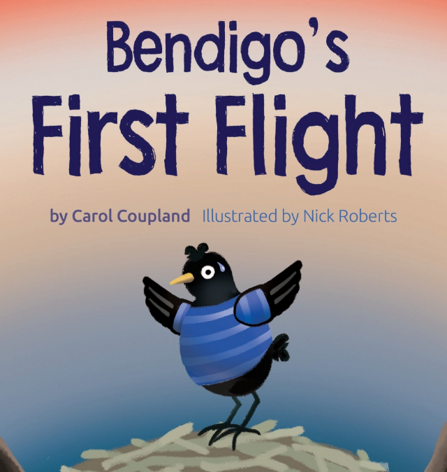 Bendigo’s First Flight