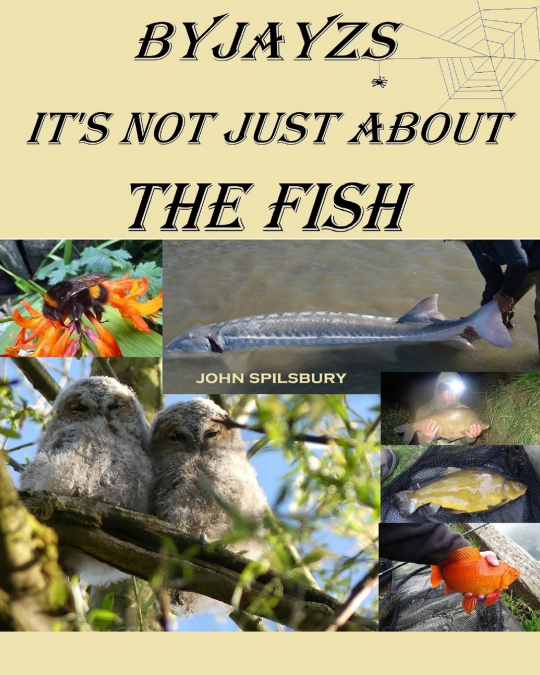 It’s Not Just About the Fish