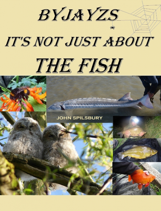 It’s Not Just About the Fish