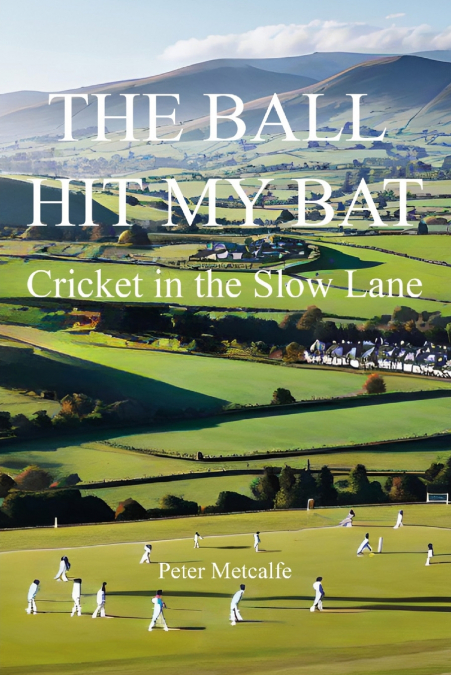 The Ball Hit My Bat