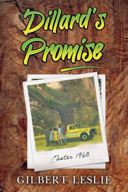 Dillard’s Promise