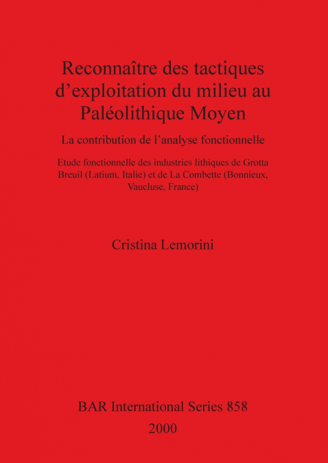 Reconnaître des tactiques d’exploitation du milieu au Paléolithique Moyen
