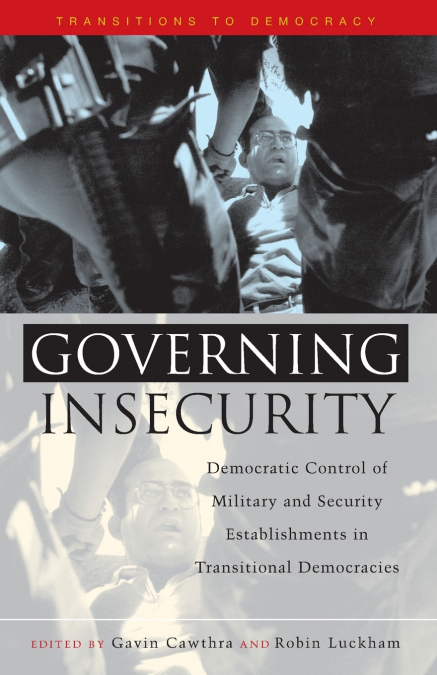 Governing Insecurity