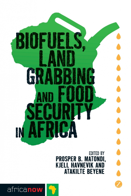 Biofuels, Land Grabbing and Food Security in Africa