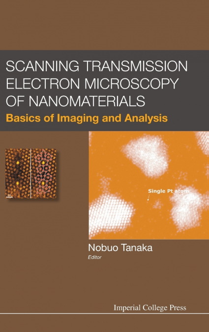 SCAN TRANSMISS ELECTR MICROSCO NANOMATER