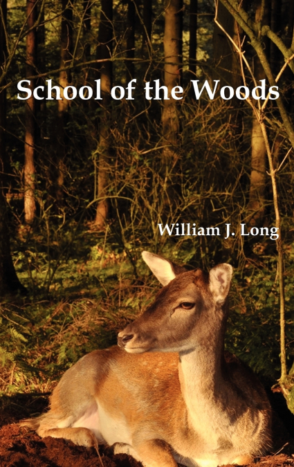 School of the Woods
