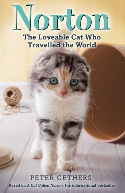 Norton The Loveable Cat Who Travelled th