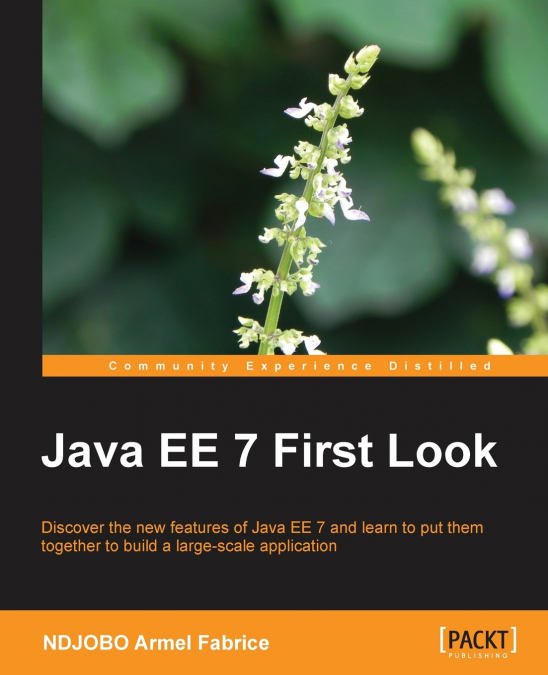 Java Ee 7 First Look