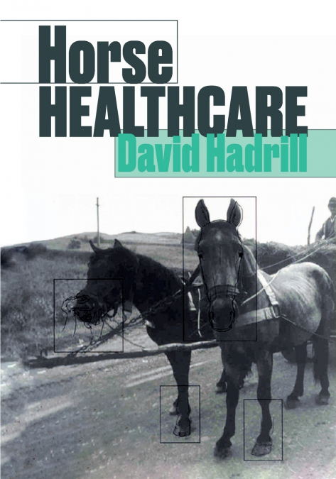 Horse Healthcare