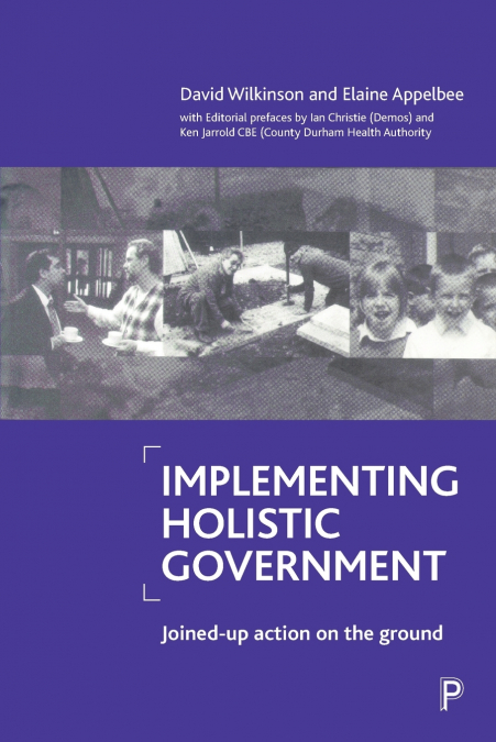 Implementing holistic government