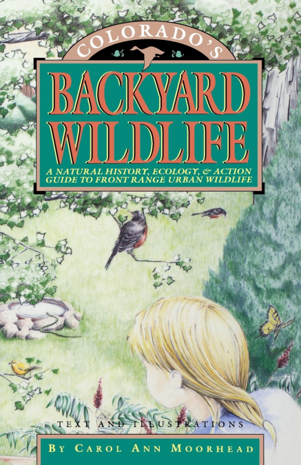 Colorado’s Backyard Wildlife