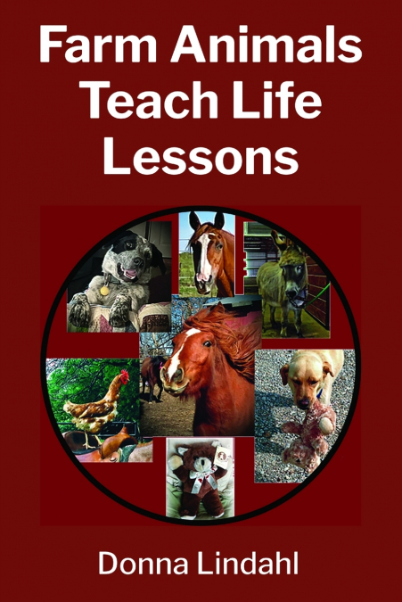 Farm Animals Teach Life Lessons