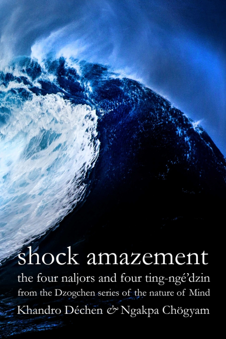Shock Amazement