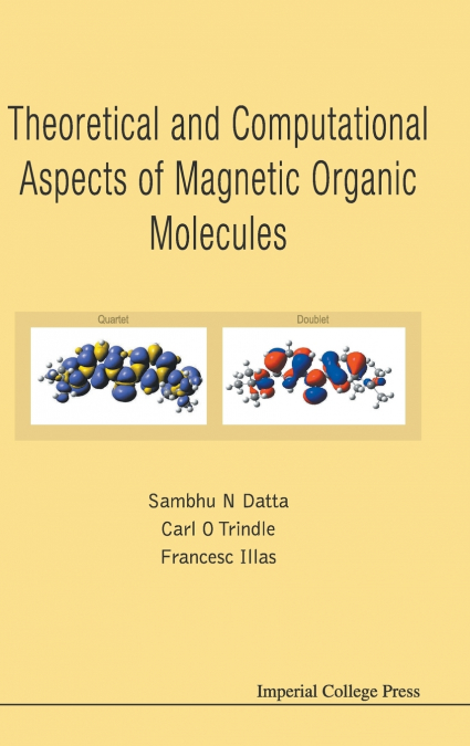 THEREOTICAL AND COMPUTATIONAL ASPECTS OF MAGNETIC ORGANIC ..