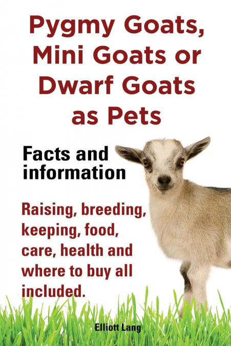 Pygmy Goats, Mini Goats or Dwarf Goats as pets. Facts and information.