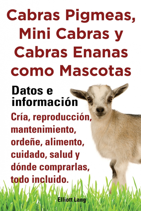 Cabras Pigmeas, Mini Cabras y Cabras Enanas Como Mascota. Datos E Informacion. Cria, Reprodu