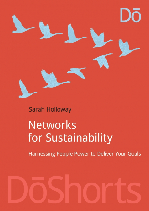 Networks for Sustainability